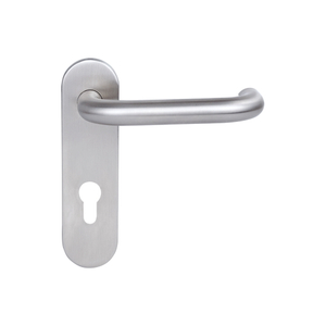 Lever Handle on Backplate