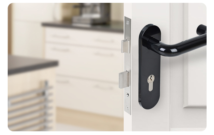 nylon door handle on backplate (2)